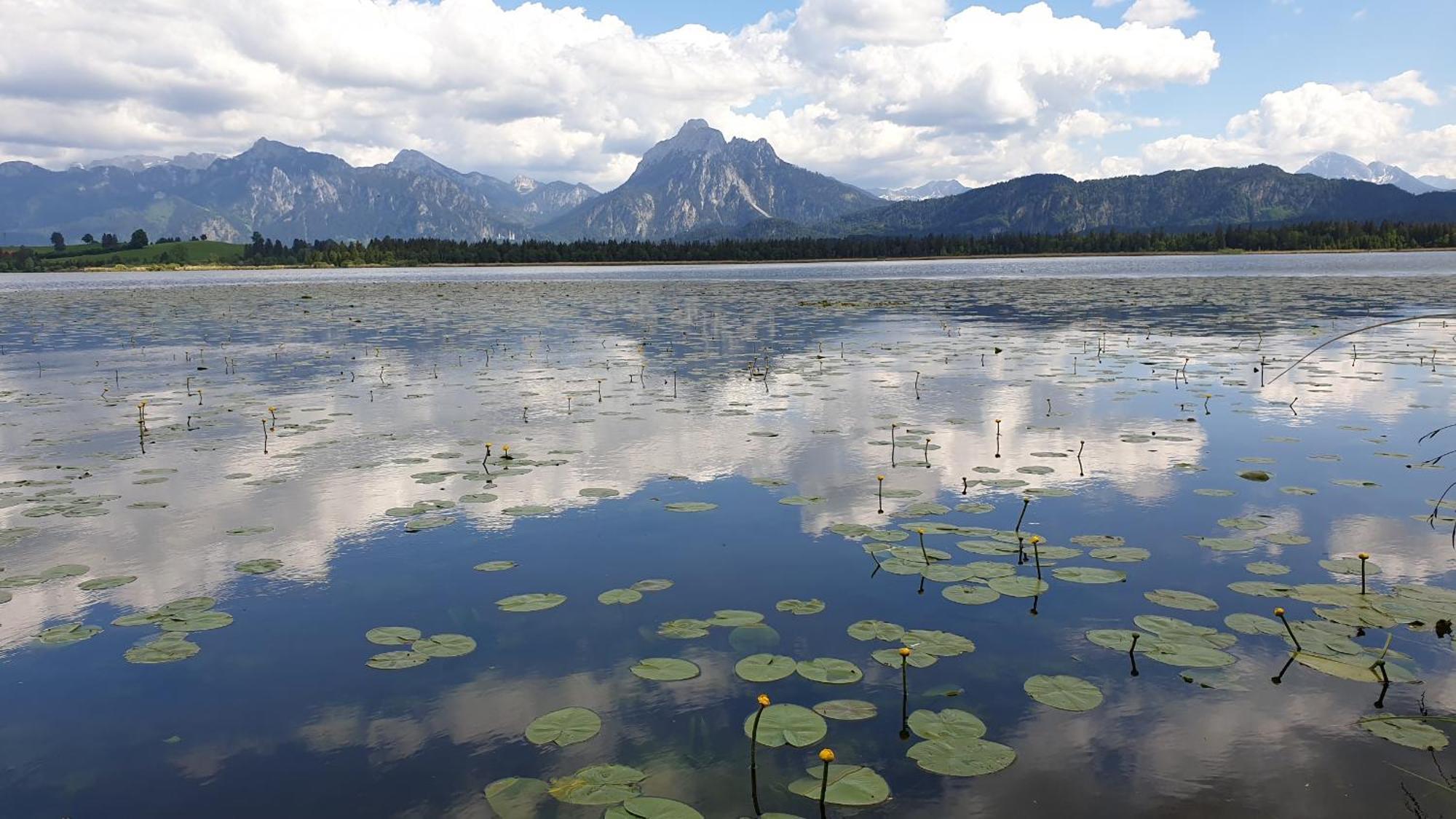 Landhaus Amberg Hopfen Am See // Hopfensee // Fuessen Zewnętrze zdjęcie